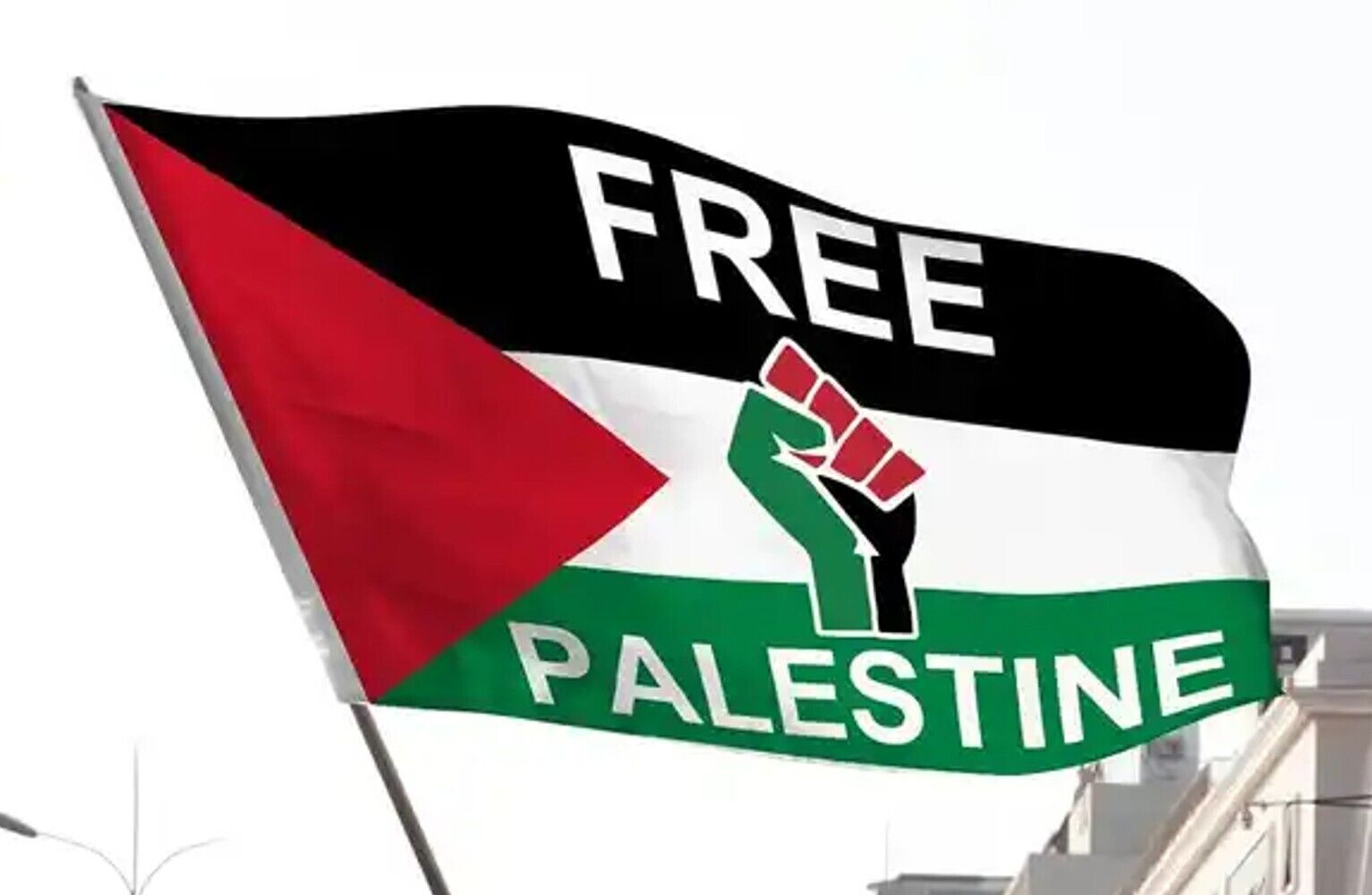 Free Palestine Flag 3 ft x 5 ft Palestine National Flag With Fist NEW! Home & Garden:Yard, Garden & Outdoor Living:Décor:Flags Cozy Home Treasures